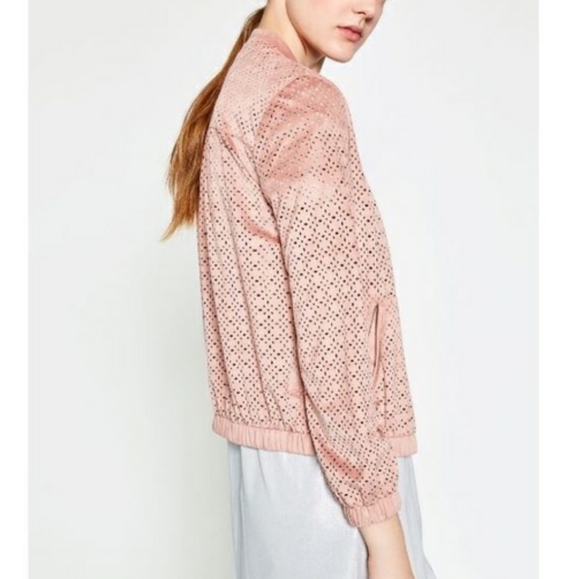 ZARA TRF  Perforated Suede Bomber Jacket - Picture 4 of 16